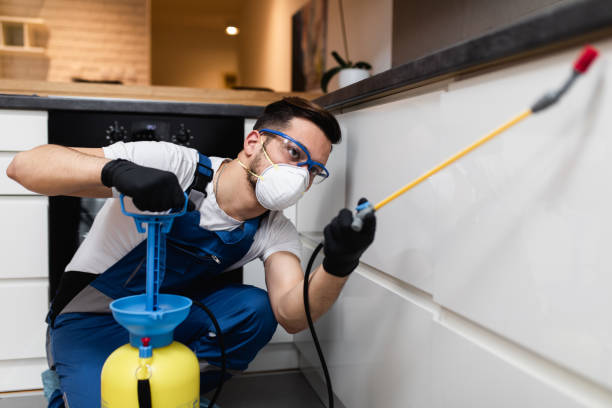 Best Pest Removal Services  in Kingston, TN