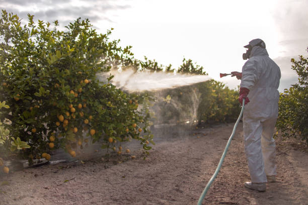 Best Pest Inspection Near Me  in Kingston, TN