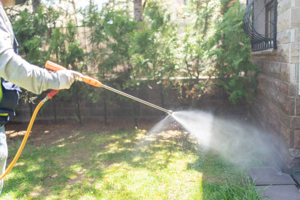 Best Best Pest Control Companies  in Kingston, TN