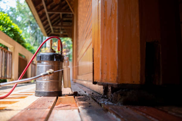 Best Ant Control Services  in Kingston, TN