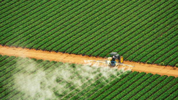 Best Pest Control for Homes  in Kingston, TN