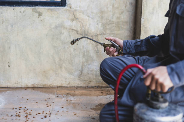 Best Mosquito Control Services  in Kingston, TN