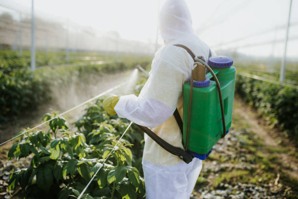 Best Affordable Pest Control Services  in Kingston, TN